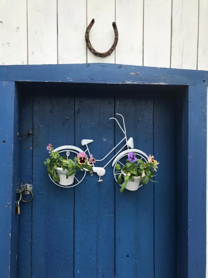 Bed and Breakfast Gite Au Toit Bleu Sainte-Famille Exterior foto