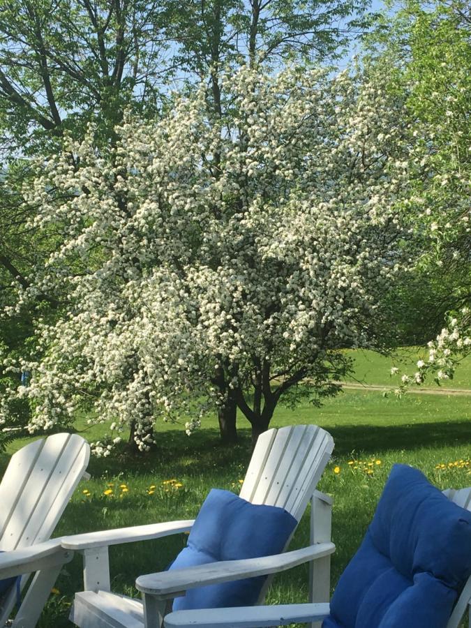 Bed and Breakfast Gite Au Toit Bleu Sainte-Famille Exterior foto